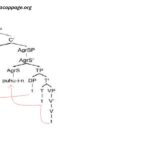 Inflectional Morphemes for English Verbs Differ From Finnish