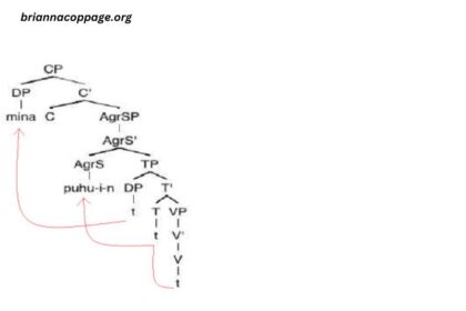 Inflectional Morphemes for English Verbs Differ From Finnish