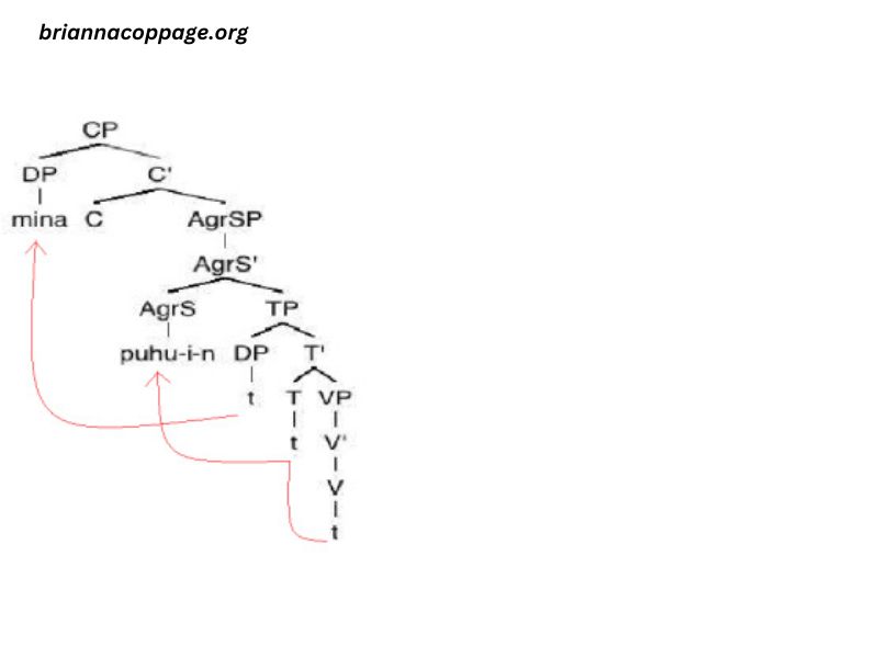 Inflectional Morphemes for English Verbs Differ From Finnish