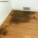 Sodium Hypochlorite Pet Urine Floor Stains