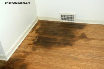 Sodium Hypochlorite Pet Urine Floor Stains