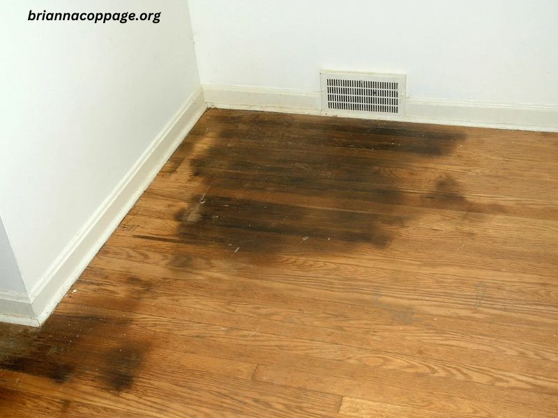 Sodium Hypochlorite Pet Urine Floor Stains